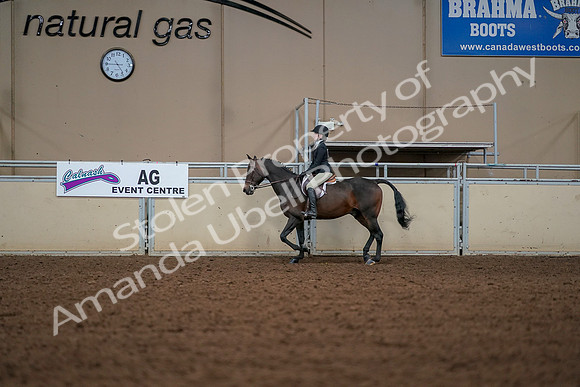 2019 Morgan Horse Show - Aug 30, 2019 - 23232