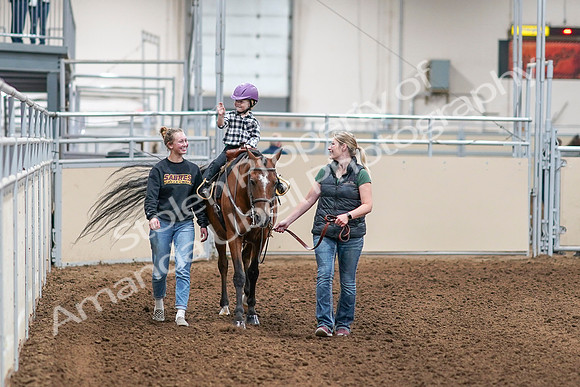 2020 - AB Morgan Horse - Sat, Sept 05 - 10069