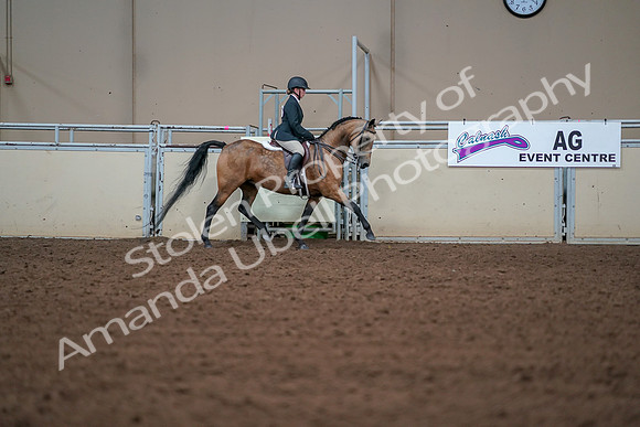 2019 Morgan Horse Show - Aug 30, 2019 - 20798