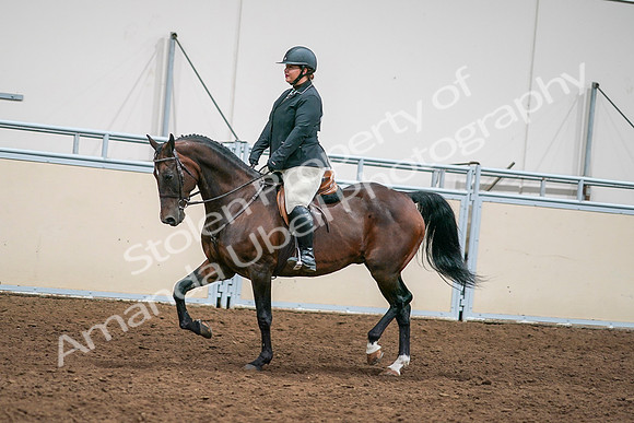 2020 - AB Morgan Horse - Sat, Sept 05 - 09331