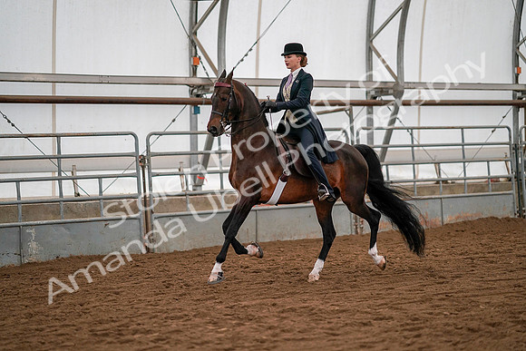 July 19, 2019 - 10382
