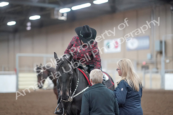 2019 Morgan Horse Show - Aug 31, 2019 - 10809