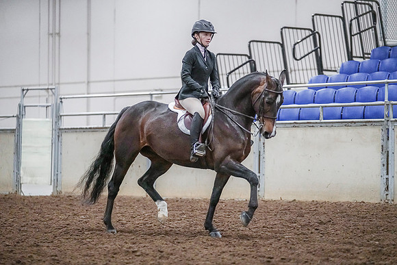 Spring Fling - Saturday - April 20, 2019  -  03782