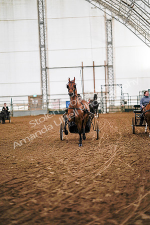 July 19, 2019 - 6782