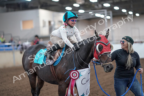2019 Morgan Horse Show - Aug 31, 2019 - 09981