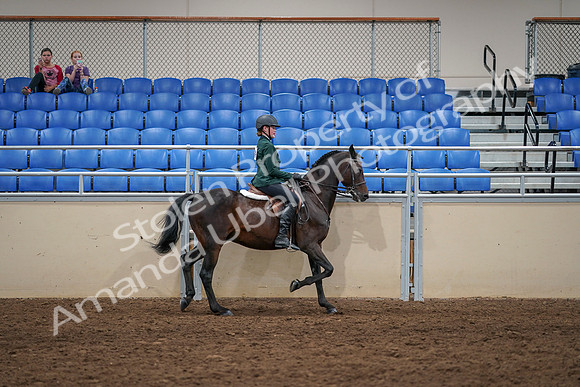 2020 - AB Morgan Horse - Sat, Sept 05 - 05062