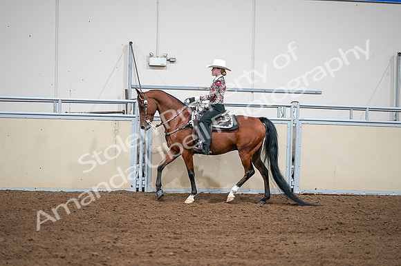 2020 - AB Morgan Horse - Fri, Sept 04 - 08412