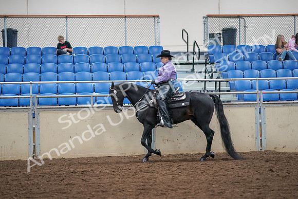 2019 Morgan Horse Show - Aug 30, 2019 - 16747