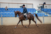 2019 Morgan Horse Show - Aug 30, 2019 - 17249