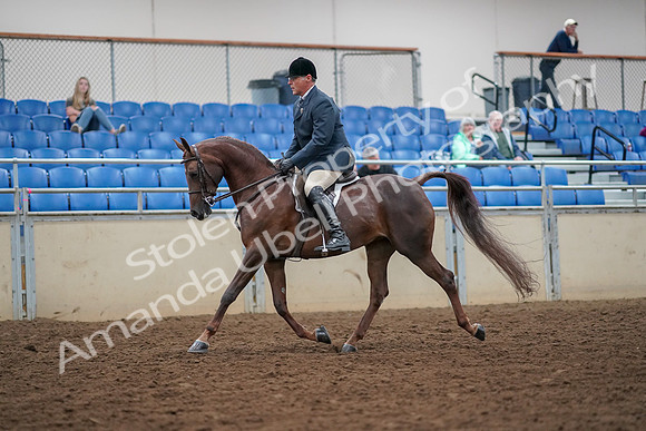 2019 Morgan Horse Show - Aug 30, 2019 - 17249
