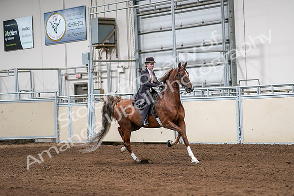 2020 - AB Morgan Horse - Sat, Sept 05 - 06430