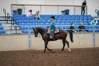 2019 Morgan Horse Show - Aug 30, 2019 - 16702
