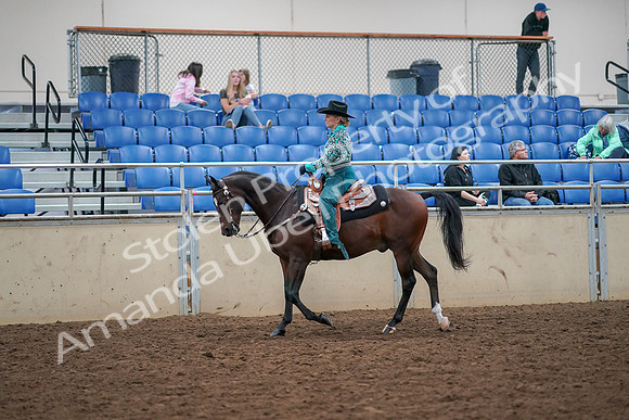 2019 Morgan Horse Show - Aug 30, 2019 - 16702