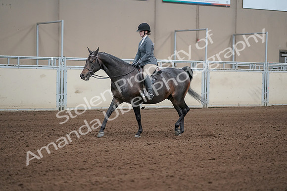 2019 Morgan Horse Show - Sept 01, 2019 - 10954_1