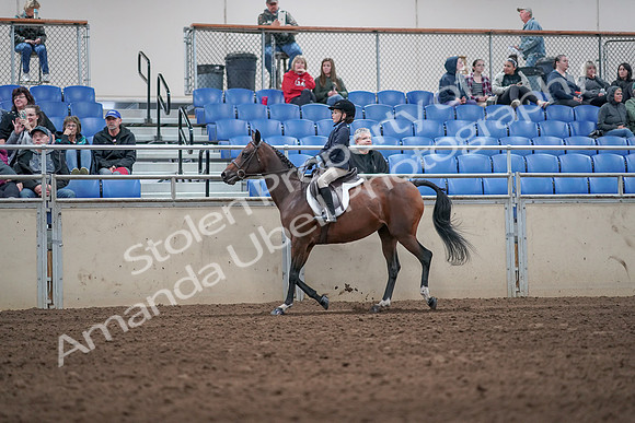 2019 Morgan Horse Show - Aug 31, 2019 - 19544