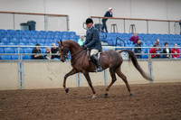 2019 Morgan Horse Show - Aug 30, 2019 - 17241