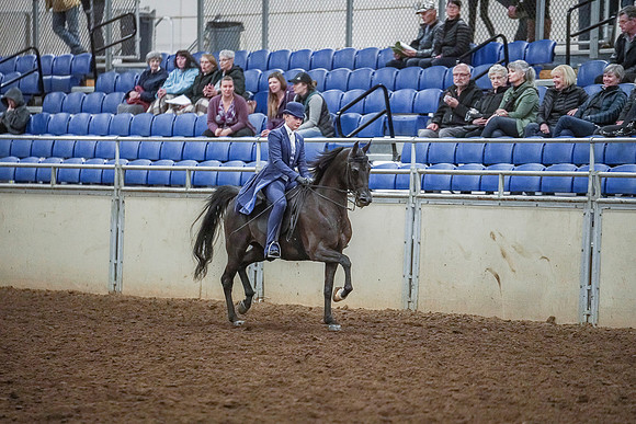 Spring Fling - Saturday - April 20, 2019  -  03925