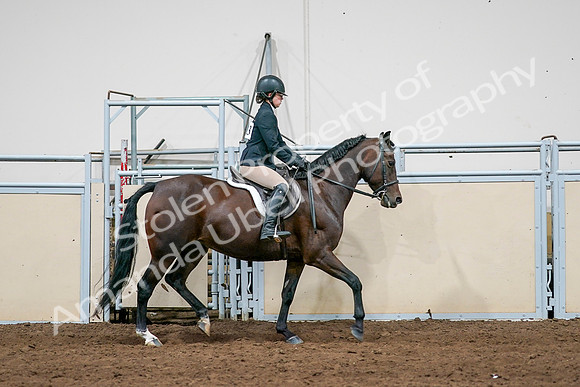 2020 - AB Morgan Horse - Sat, Sept 05 - 14554