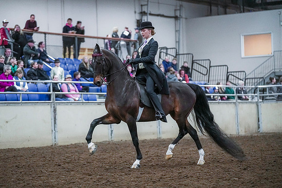 Spring Fling - Saturday - April 20, 2019  -  00432
