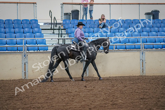 2019 Morgan Horse Show - Aug 30, 2019 - 17059