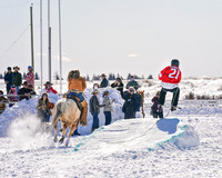 Bailey - 2020 - Skijor - Sat, Feb 22 - 01204