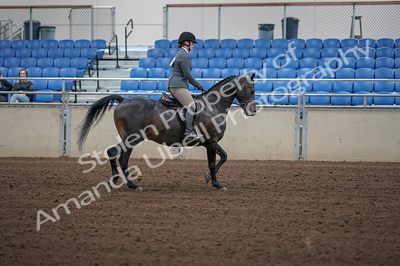 2019 Morgan Horse Show - Sept 01, 2019 - 11038