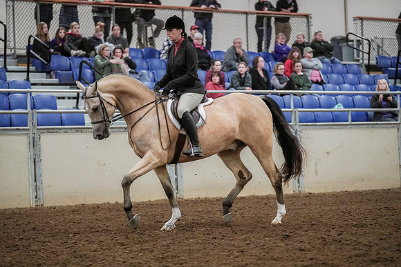 Spring Fling - Saturday - April 20, 2019  -  04594