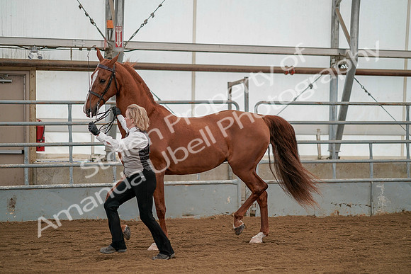 July 19, 2019 - 1355