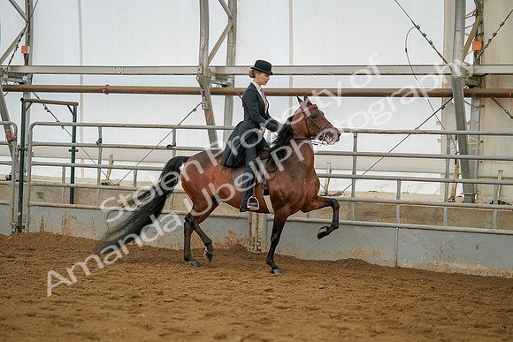 July 20, 2019 - 04601
