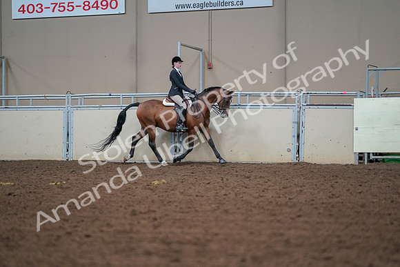 2019 Morgan Horse Show - Aug 30, 2019 - 20756