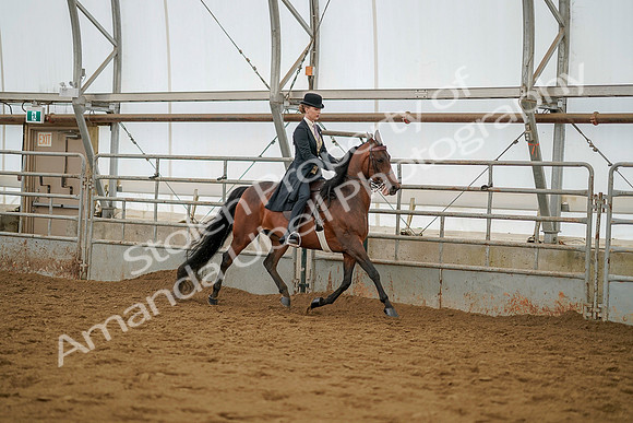 July 20, 2019 - 04585