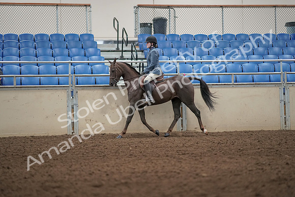 2019 Morgan Horse Show - Aug 31, 2019 - 04905