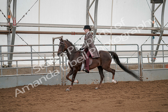 July 20, 2019 - 04238