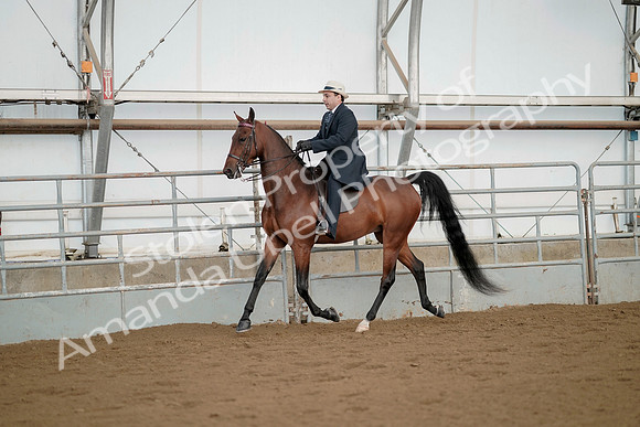 July 21, 2019 - 01653