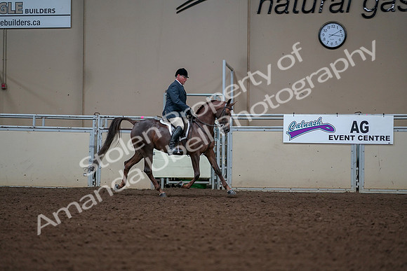 2019 Morgan Horse Show - Aug 30, 2019 - 17650
