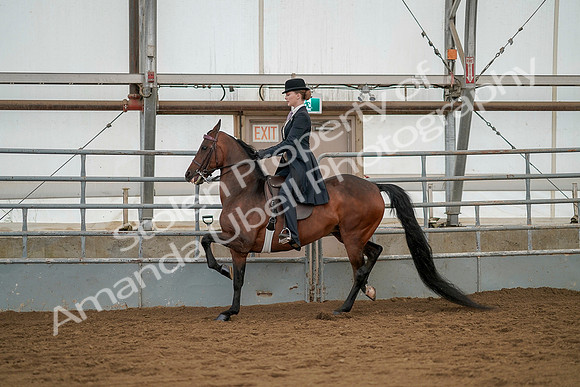 July 20, 2019 - 04277