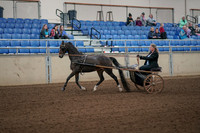 2019 Morgan Horse Show - Aug 31, 2019 - 04229