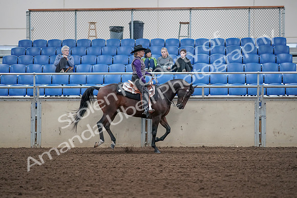 2019 Morgan Horse Show - Aug 31, 2019 - 10697