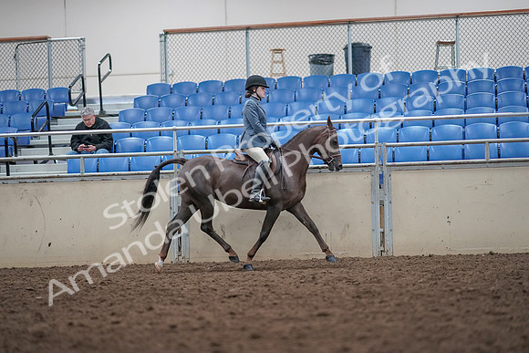 2019 Morgan Horse Show - Aug 31, 2019 - 16738