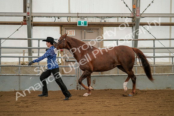 July 19, 2019 - 1299