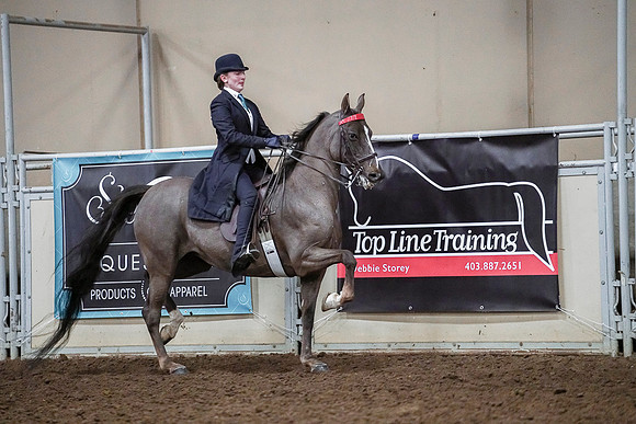 Spring Fling - Saturday - April 20, 2019  -  04155