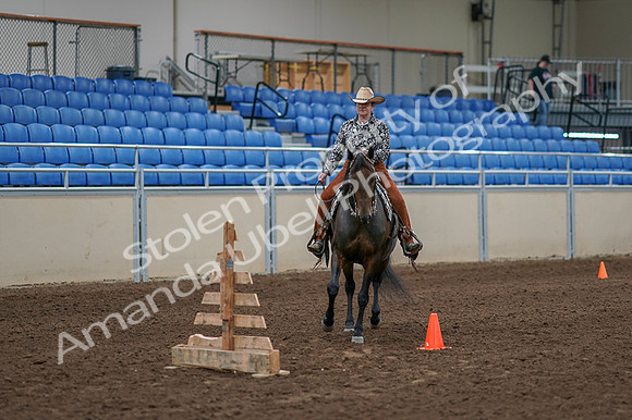 2020 - AB Morgan Horse - Fri, Sept 04 - 00078