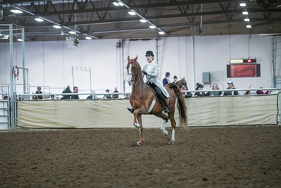 Spring Fling - Saturday - April 20, 2019  -  00404