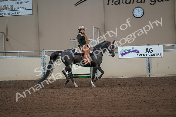 2019 Morgan Horse Show - Aug 31, 2019 - 06169