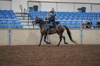 2019 Morgan Horse Show - Aug 30, 2019 - 15294