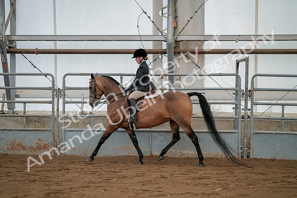 July 19, 2019 - 2570