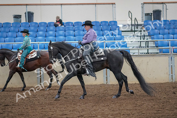 2019 Morgan Horse Show - Aug 30, 2019 - 16890