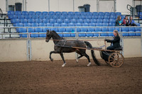 2019 Morgan Horse Show - Aug 31, 2019 - 04239