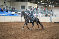 2020 - AB Morgan Horse - Sun, Sept 06 - 08294