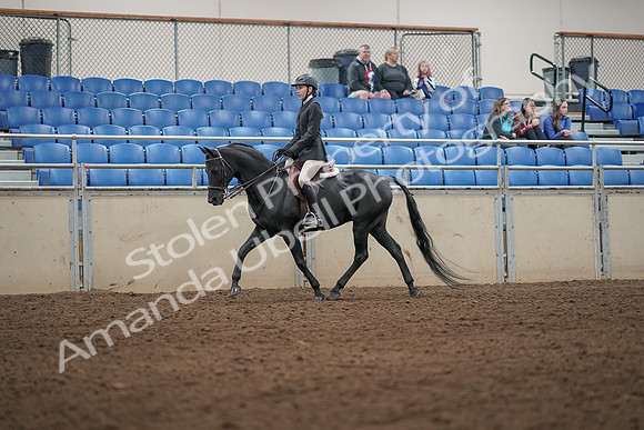 2019 Morgan Horse Show - Aug 31, 2019 - 04910